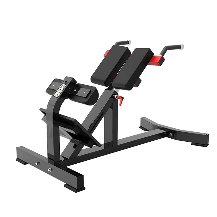 Back Extension Trainer